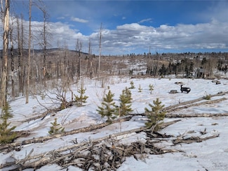 971 Huntington Ln, Fort Garland, CO 81133