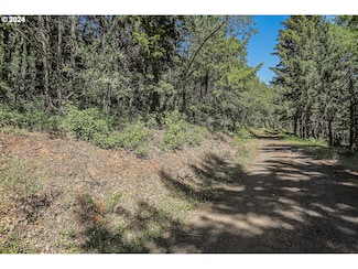 0 Lyons Rd Unit 24610225, White Salmon, WA 98672