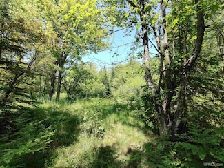 8930 Sand Lake Rd, Au Train, MI 49806