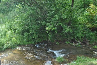 TBD- 53 ac Nolley Rd, Riner, VA 24149