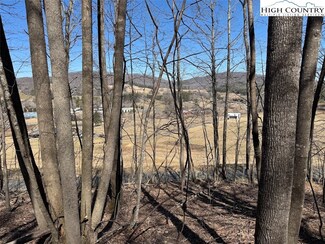 0 Roby Poe Rd, Jefferson, NC 28640