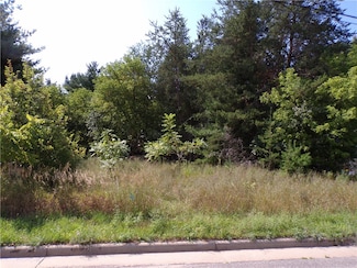 1707 Mitchell Ave, Eau Claire, WI 54701