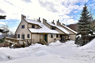 267 Okemo Trailside Unit 29 B, Ludlow, VT 05149