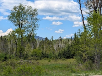 Lot #6 County Route 60, Rainbow Lake, NY 12976