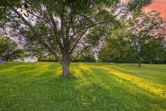 32 acres Hesters Store Rd, Red Level, AL 36474