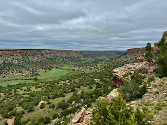 001 Cr 40 2, Branson, CO 81027