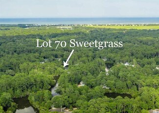 Lot 70 Sweet Grass Ln Unit DeBordieu Colony - L, Georgetown, SC 29440
