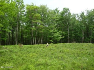 LOT #4 Beech Creek Mt Rd, Beech Creek, PA 16822