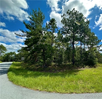 7575 W Lyric Dr, Citrus Springs, FL 34433