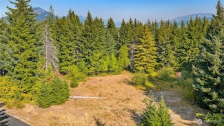 321 Goat Creek Ln, Cle Elum, WA 98922