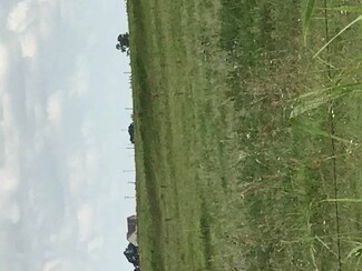 Track C Southgate Rd, Lahoma, OK 73754