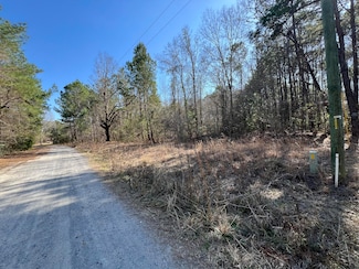 Lot 7 Wisteria Falls Trail, Saint Stephen, SC 29479
