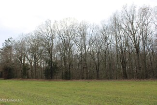 220 Boone Rd, Mount Pleasant, MS 38635