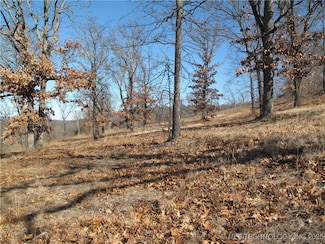 23 E Hillside Rd, Cookson, OK 74427