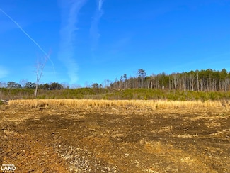 0 Frozen Hollow Rd Unit 25312834, Carbon Hill, AL 35549