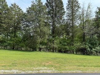 205 W Shore Dr, Rockwood, TN 37854