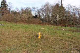 10 Muddler Ln, Montesano, WA 98563