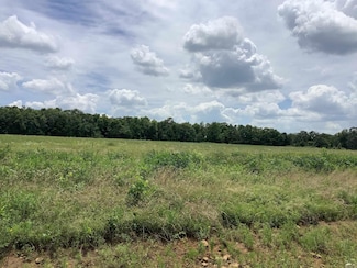 002 Wallis Rd, Bald Knob, AR 72010
