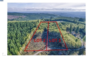 225 Deer Fern Ln, Longview, WA 98632