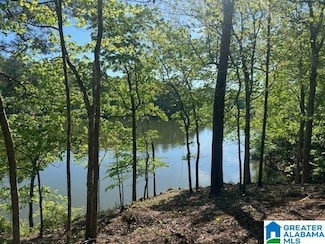 Tract B Waters Way Unit Lot 2 Tract B, Wedowee, AL 36278