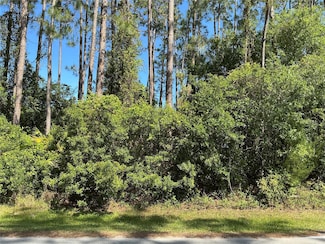 87 Eric Dr, Palm Coast, FL 32164