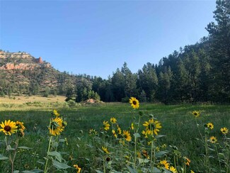 TBD Forest Service Rd Unit 376, Edgemont, SD 57735