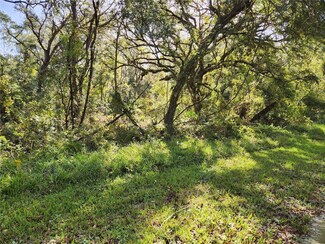 0 Tablerock Dr, Webster, FL 33597