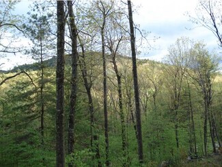 53 Rice Hill Rd, Freedom, NH 03836