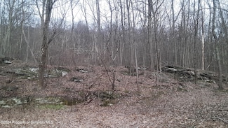 2469 Bald Mountain Rd, Ransom Township, PA 18411