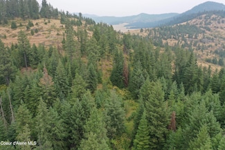 NKA Bremerman Parcel 2600, Plummer, ID 83851