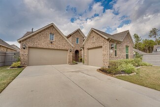 18343 Tiger Flowers Dr, Conroe, TX 77302