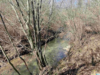 7261 Bishop Rd Unit 10 Acres, Bessemer, AL 35022