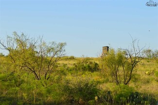 0 Fm 2652 Unit 146947, Loving, TX 76460