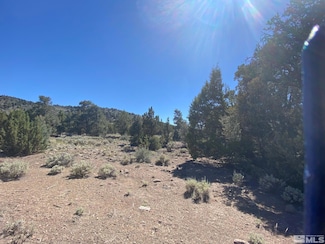 TBD Pine Nut Mountains (28) Unit 28, Gardnerville, NV 89410