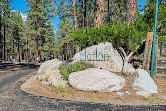 250 Becket Lake Dr, Durango, CO 81301