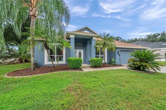 1130 Split Silk St, Valrico, FL 33594