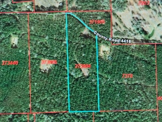 795 County Road 4416, Spurger, TX 75979