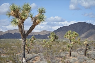 5.5 Acres Suzette Rd, Yucca, AZ 86438