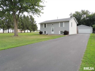 313 N Park St, Alpha, IL 61413