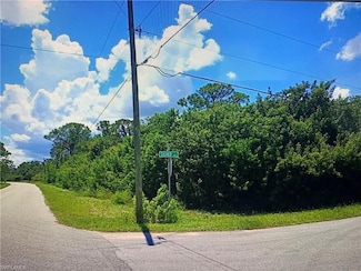 245 Silver Ave, Lake Placid, FL 33852
