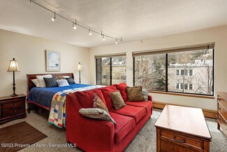 725 E Main St Unit 303, Aspen, CO 81611