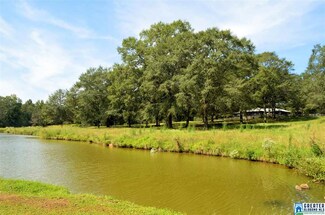 175 Sunset View, Wilsonville, AL 35186