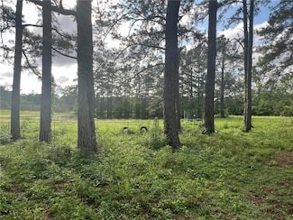 12485 Highway 175 None, Many, LA 71449