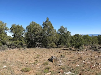 41 Servilleta Lot 41, Tres Piedras, NM 87577