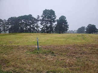 Lot 10 Little Green Acres, Hugo, OK 74743