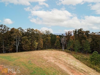 0 High River Rd Unit 10304624, Ellijay, GA 30540
