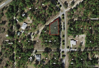 6160 W Pell Place, Dunnellon, FL 34433