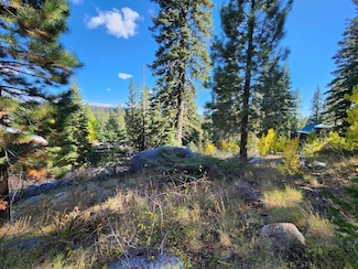 128 John Ebbetts Rd, Bear Valley, CA 95223