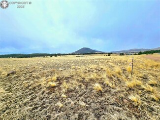 4795 County Road 71, Guffey, CO 80820