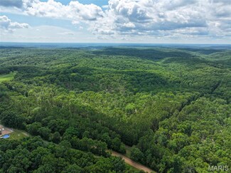 3898 Christy Mine Rd, Bourbon, MO 65441